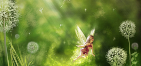 Fairies and Flowers