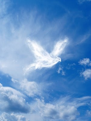 dove in clouds