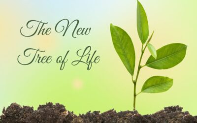 The New Tree of Life