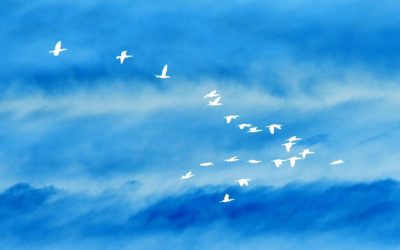 Preparation for Heaven on Earth