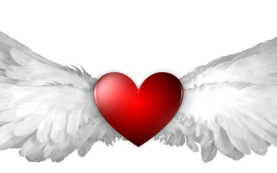 Do You Want a Solution to Your Problem?