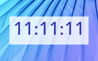 11:11:11 Portal of Possibility