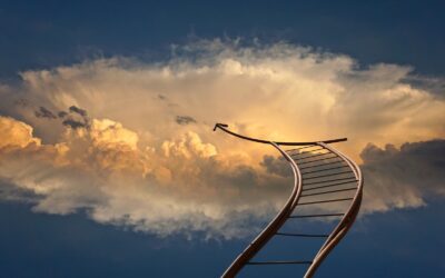 Are You Going Within For Your Answers?