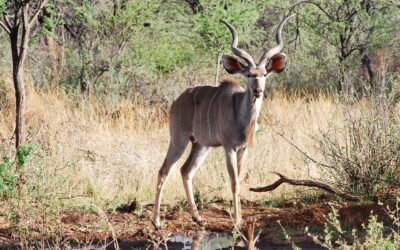 God Addresses Political Unrest