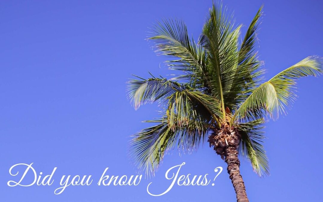 Did You Know Jesus?
