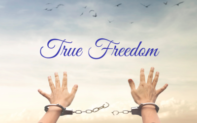 What is True Freedom According to Source